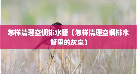 怎样清理空调排水管（怎样清理空调排水管里的灰尘）