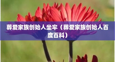 葬爱家族创始人坐牢（葬爱家族创始人百度百科）