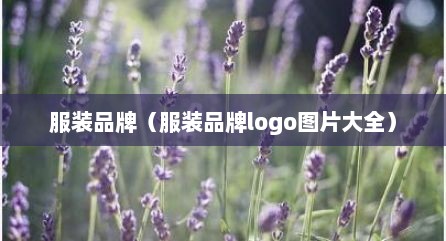 服装品牌（服装品牌logo图片大全）