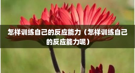怎样训练自己的反应能力（怎样训练自己的反应能力呢）
