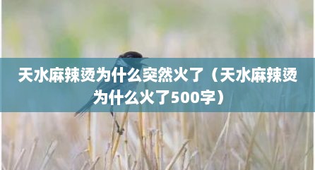 天水麻辣烫为什么突然火了（天水麻辣烫为什么火了500字）