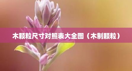 木颗粒尺寸对照表大全图（木制颗粒）