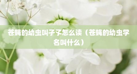 苍蝇的幼虫叫孑孓怎么读（苍蝇的幼虫学名叫什么）