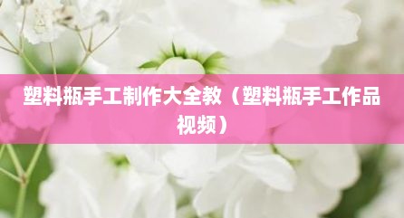 塑料瓶手工制作大全教（塑料瓶手工作品视频）