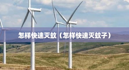 怎样快速灭蚊（怎样快速灭蚊子）