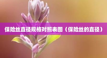 保险丝直径规格对照表图（保险丝的直径）