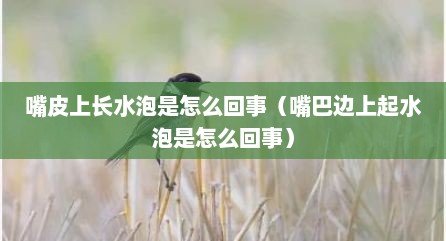 嘴皮上长水泡是怎么回事（嘴巴边上起水泡是怎么回事）