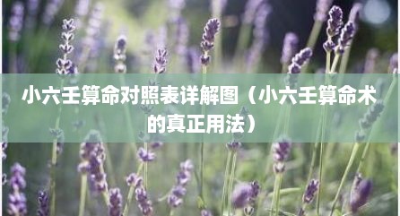 小六壬算命对照表详解图（小六壬算命术的真正用法）