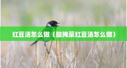 红豆汤怎么做（酸腌菜红豆汤怎么做）