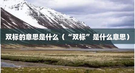 双标的意思是什么（“双标”是什么意思）