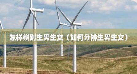 怎样辨别生男生女（如何分辨生男生女）