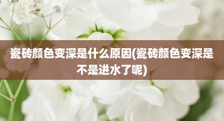 瓷砖颜色变深是什么原因(瓷砖颜色变深是不是进水了呢)