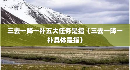 三去一降一补五大任务是指（三去一降一补具体是指）