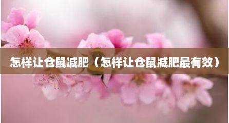 怎样让仓鼠减肥（怎样让仓鼠减肥最有效）
