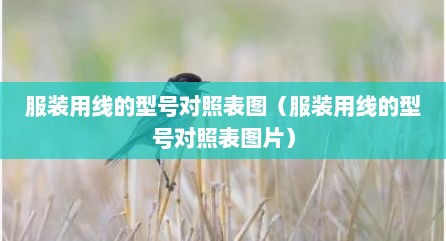 服装用线的型号对照表图（服装用线的型号对照表图片）
