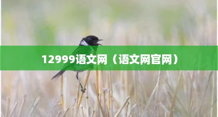 12999语文网（语文网官网）