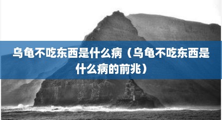 乌龟不吃东西是什么病（乌龟不吃东西是什么病的前兆）