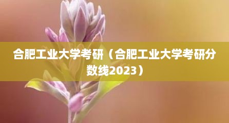 合肥工业大学考研（合肥工业大学考研分数线2023）