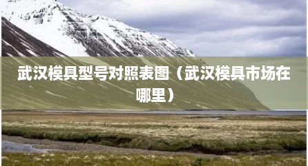 武汉模具型号对照表图（武汉模具市场在哪里）