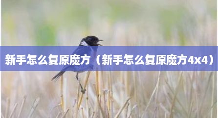 新手怎么复原魔方（新手怎么复原魔方4x4）