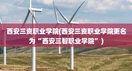 西安三资职业学院(西安三资职业学院更名为“西安三智职业学院”)