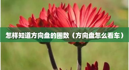 怎样知道方向盘的圈数（方向盘怎么看车）