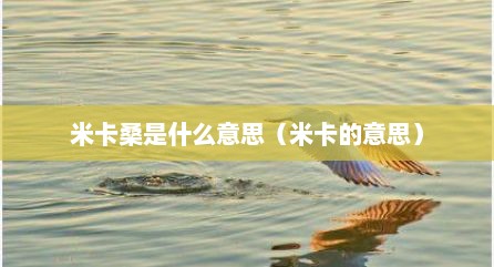 米卡桑是什么意思（米卡的意思）