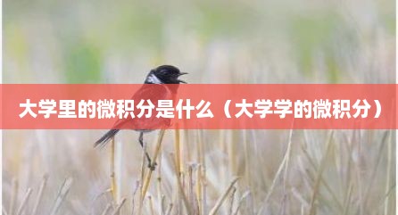 大学里的微积分是什么（大学学的微积分）
