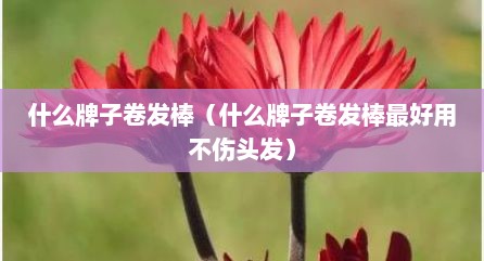 什么牌子卷发棒（什么牌子卷发棒最好用不伤头发）