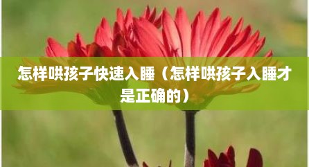 怎样哄孩子快速入睡（怎样哄孩子入睡才是正确的）