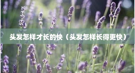 头发怎样才长的快（头发怎样长得更快）
