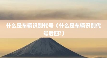 什么是车辆识别代号（什么是车辆识别代号后四?）