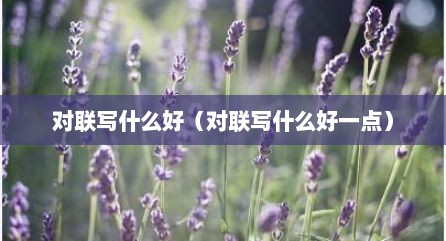对联写什么好（对联写什么好一点）