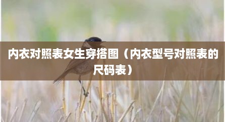 内衣对照表女生穿搭图（内衣型号对照表的尺码表）