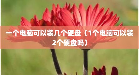 一个电脑可以装几个硬盘（1个电脑可以装2个硬盘吗）
