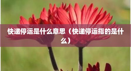 快递停运是什么意思（快递停运指的是什么）