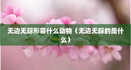 无边无际形容什么动物（无边无际的是什么）
