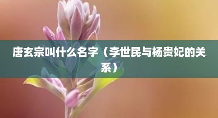 唐玄宗叫什么名字（李世民与杨贵妃的关系）