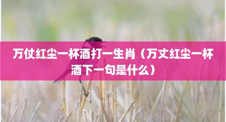 万仗红尘一杯酒打一生肖（万丈红尘一杯酒下一句是什么）