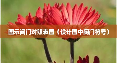 图示阀门对照表图（设计图中阀门符号）