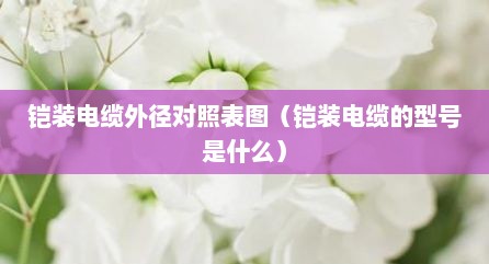 铠装电缆外径对照表图（铠装电缆的型号是什么）