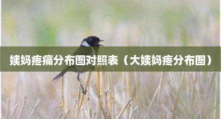 姨妈疼痛分布图对照表（大姨妈疼分布图）