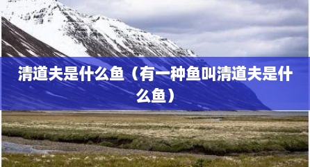 清道夫是什么鱼（有一种鱼叫清道夫是什么鱼）