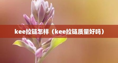 kee拉链怎样（kee拉链质量好吗）