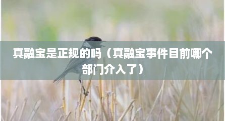真融宝是正规的吗（真融宝事件目前哪个部门介入了）