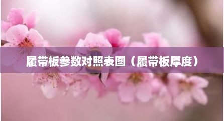 履带板参数对照表图（履带板厚度）