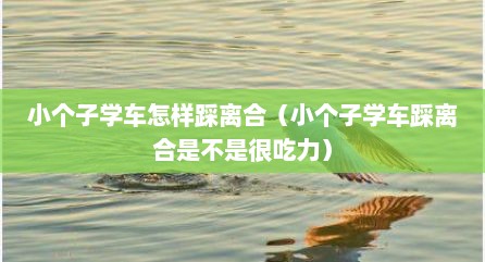 小个子学车怎样踩离合（小个子学车踩离合是不是很吃力）