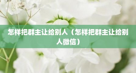 怎样把群主让给别人（怎样把群主让给别人微信）