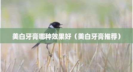 美白牙膏哪种效果好（美白牙膏推荐）