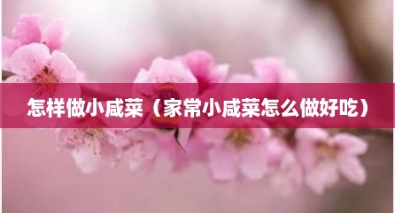 怎样做小咸菜（家常小咸菜怎么做好吃）